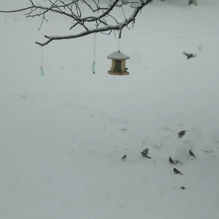 Apartment Eberharter Magdalena *