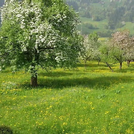 Appartamento Eberharter Magdalena *