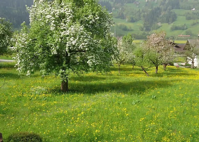 Appartamento Eberharter Magdalena *