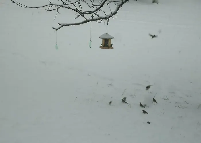 Appartamento Eberharter Magdalena *